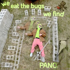 WE EAT (THE BUGS WE FIND)