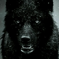 Run With The Hunted