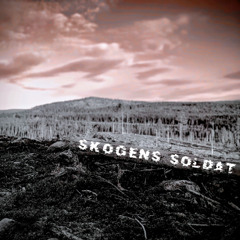 NORDÖSTRA GRUPPEN - ASKA OCH DAMM