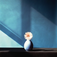 Isolation for Beginners: Week Three