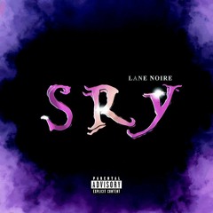 SRY (speed up) - Lane Noire