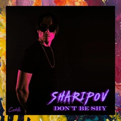 PREMIERE: Sharipov — Don't Be Shy (Original Mix) [Controlla]