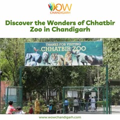 Discover The Wonders Of Chhatbir Zoo In Chandigarh - WOW Chandigarh