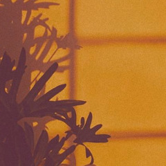 Warmthwave [BEAT FOR FREE] *DM ME*