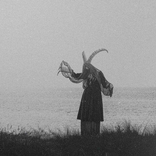 Mold (2017)( w Ayce Comet)