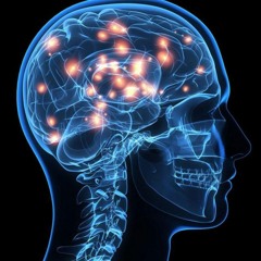 Neuroscience and Freedom of the Will - Is There Really a Problem? | Prof. James Madden