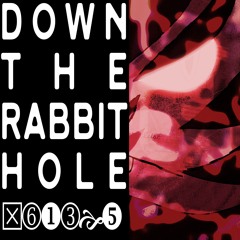 Down The Rabbit Hole (Gabber Mix)
