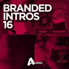 4UDIO - BRANDED INTROS 16