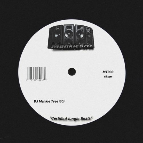 Waves in the Jungle - DJ Mello D (Recorded in 1998)