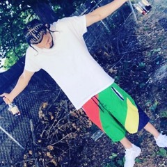 YOUNG LOW - THE SRUGGLE