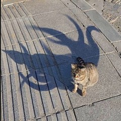 Cat Boss by midtiermusician