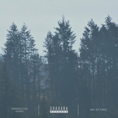PREMIERE: Bay Of Fires - Perspective (Ramea Remix) [Shagara Records]