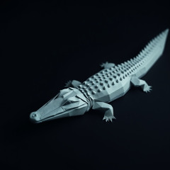 Alligator