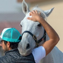 راشد الماجد ♡ شيخة الحسن مريم