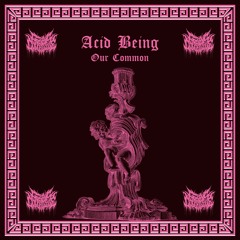 ACID BEING - Our Common