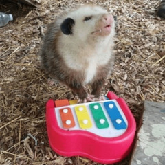 fizzled out dumpster fire called my life