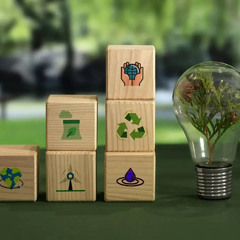 Unlocking the Power of Sustainability Reporting Services