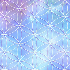 Shakti Sessions December