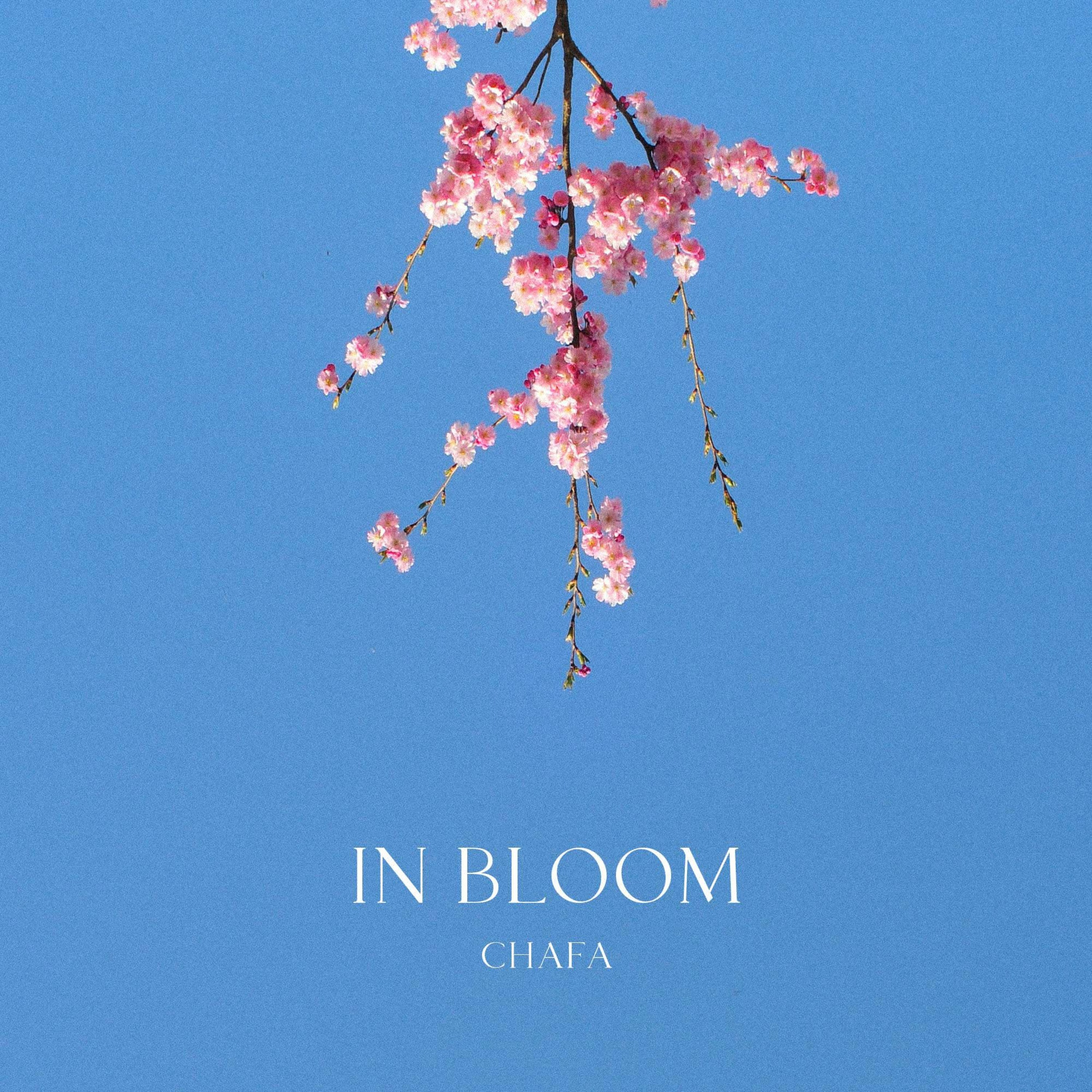 In Bloom episode artwork
