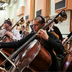 Orchestral Music I Composed (Classical, Soundtracks, Hybrid Styles and Whatever Popped Up)