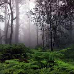 What Are We Even Doing?