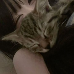 Need Bond prod @mas2e