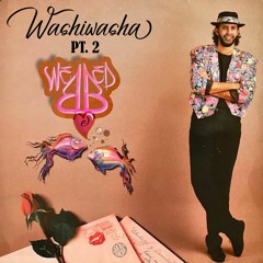 webbede PT. II - washiwasha (Original Mix)