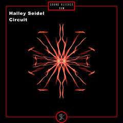 Halley Seidel - Rough Sytems