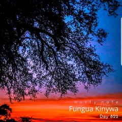n a s t y  n a t e - Fungua Kinywa. Day 822 - AFRO + AFRO DEEP HOUSE