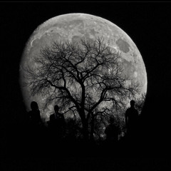 Music For My Imaginary Friends