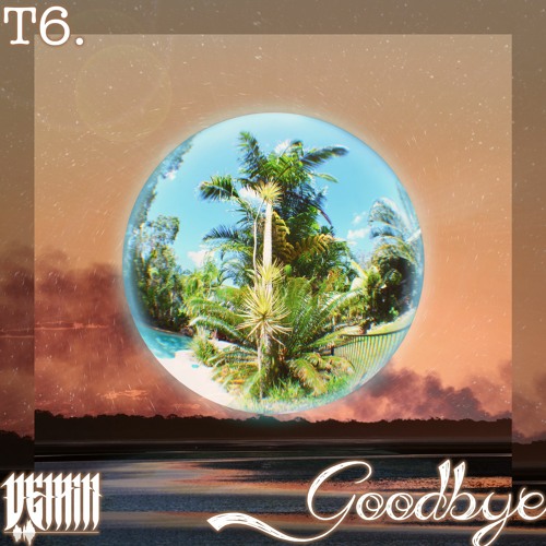 T6. Goodbye (Prod. Krash Max)