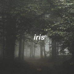 putting a spin on iris - egg