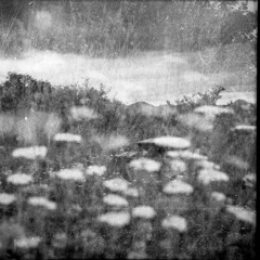 Arvo Pärt - "Variations For The Healing Of Arinuschka"