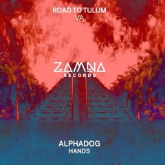 Hands (Zamna Records)