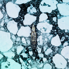 Frozenshores