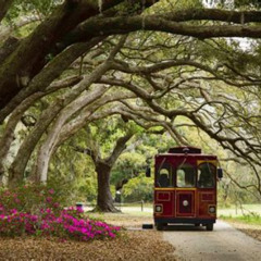 Review Special Price Charleston City Sightseeing Bus Tour