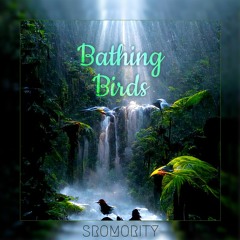 Bathing Birds - Sromority