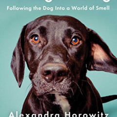 View EPUB 📧 Being a Dog: Following the Dog Into a World of Smell by  Alexandra Horow