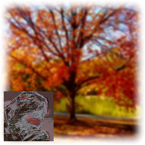 Live at Char 10/21/2025