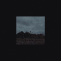 Intro