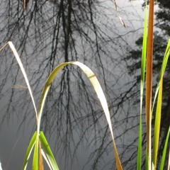 Scintillement dans le noir