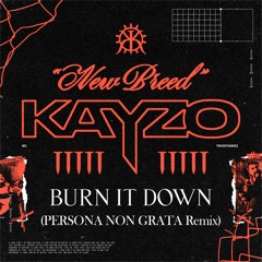 KAYZO x ATLiens - BURN IT DOWN (Feat. ADAM ON EARTH) (PERSONA NON GRATA Remix)