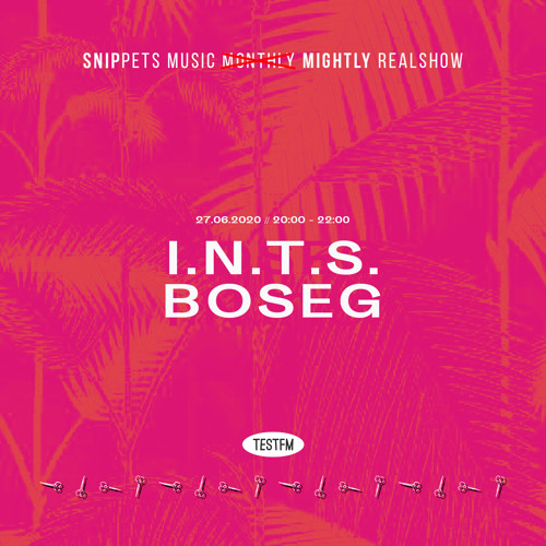 Snippets w/ Boseg @ TESTFM — 27/06/2020