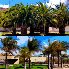 Verde Aprins Ft. EGRIS