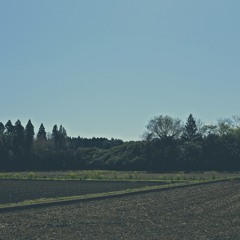 YACHIMATA_200406