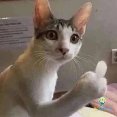 Dân Chơi Uy Tín - Nam Tas