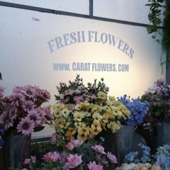 ai cover _𝒘𝒐𝒓𝒍𝒅 - 𝒔𝒆𝒗𝒆𝒏𝒕𝒆𝒆𝒏 (nct jaehyun, taeil, haechan)