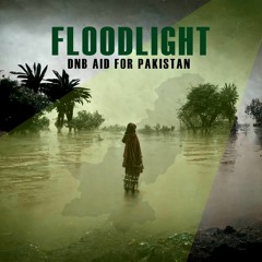 Charlie B - Dazed (Out Now on Bandcamp) (Floodlight DNB aid for Pakistan)