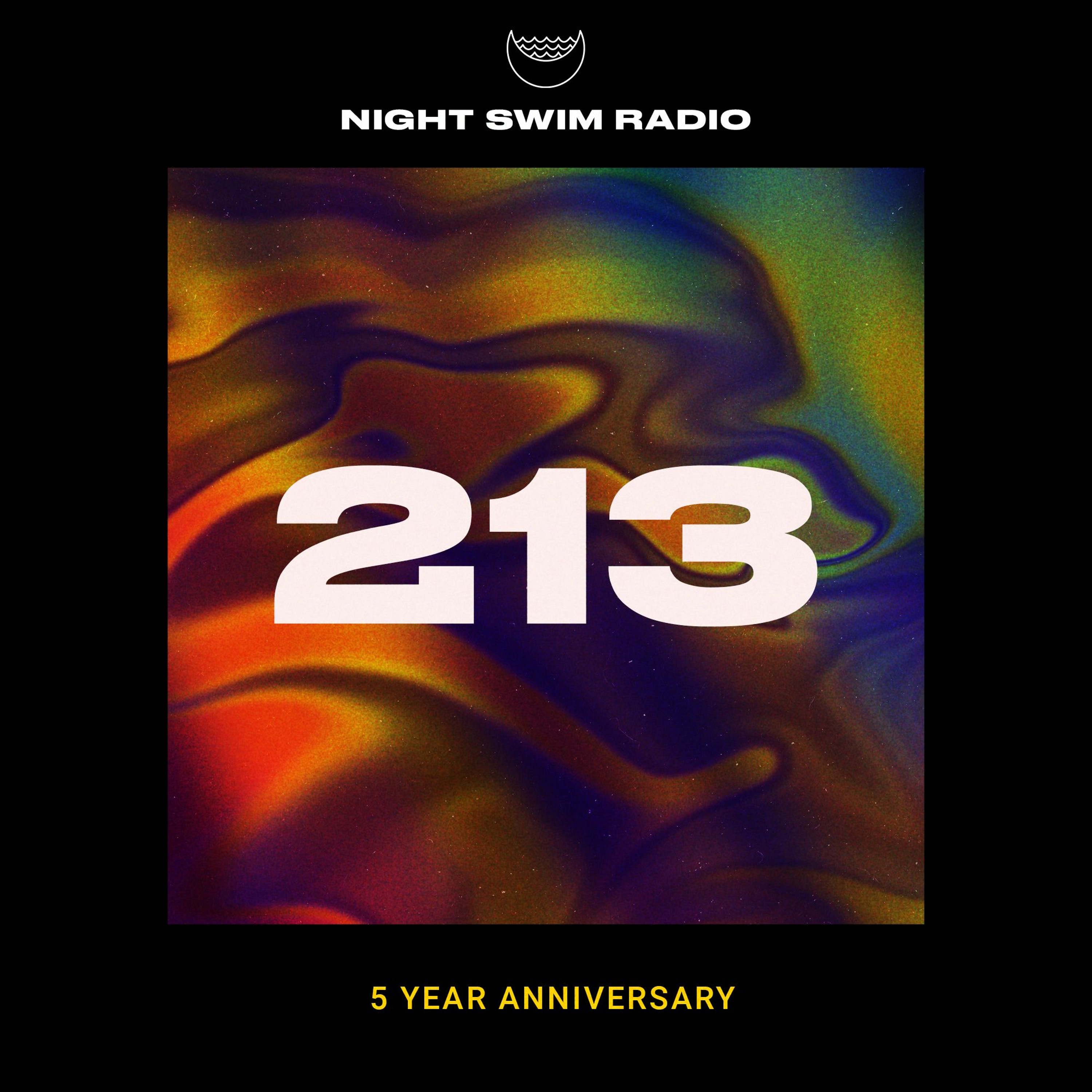 Night Swim Radio - Dive 213 5 YEAR ANNIVERSARY SPECIAL episode artwork