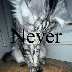 I Swear i never {prod.robridd}